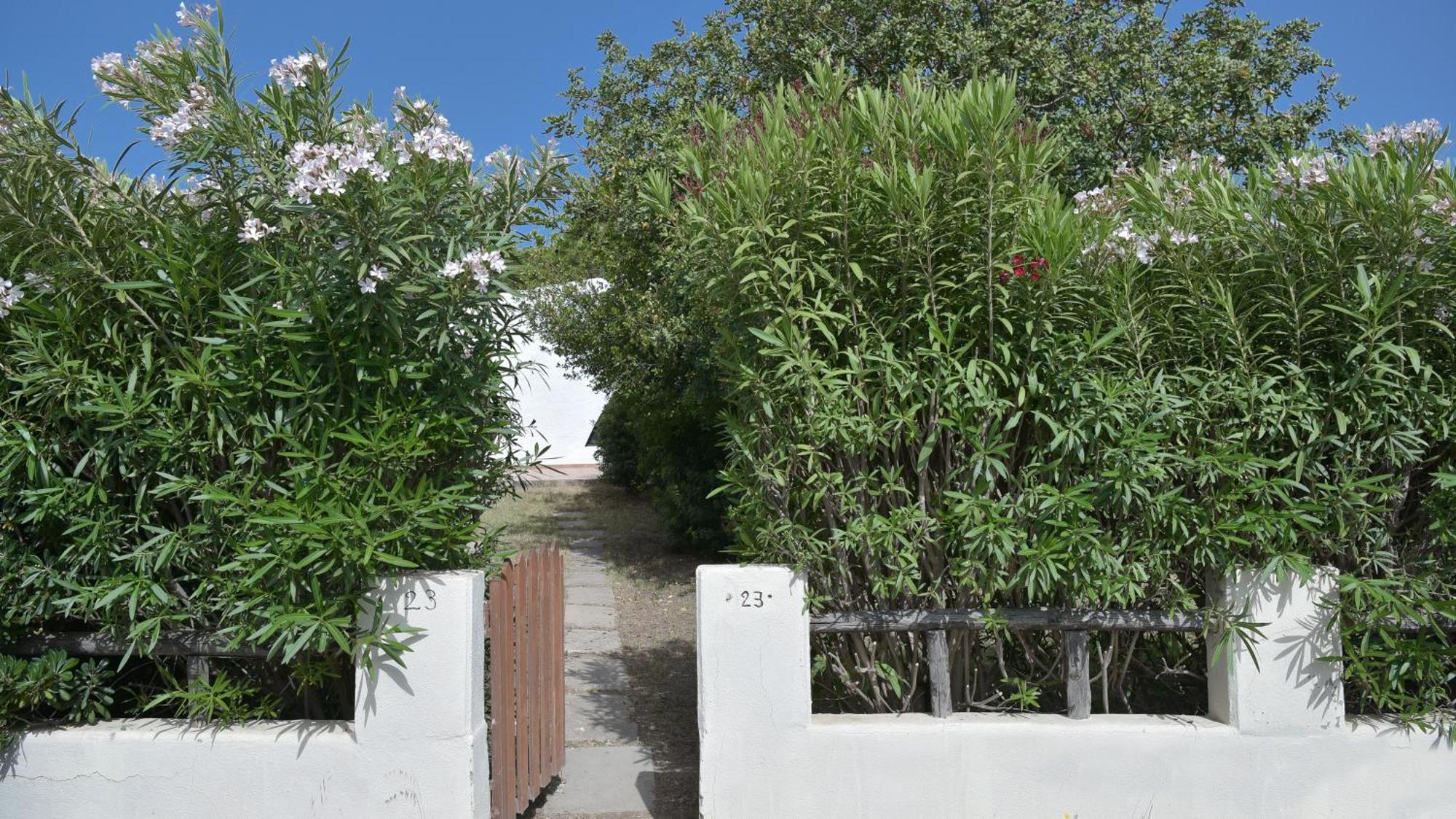 Welcomely - Villa Adele Costa Rei Zewnętrze zdjęcie